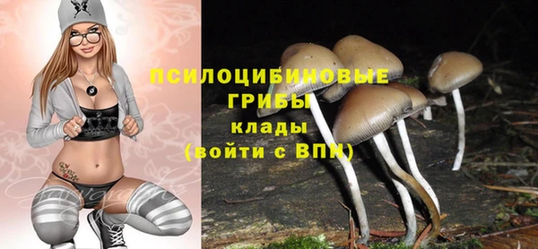 2c-b Баксан